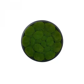 Artificial bun moss wall circular art panel MDF Black - 30cm