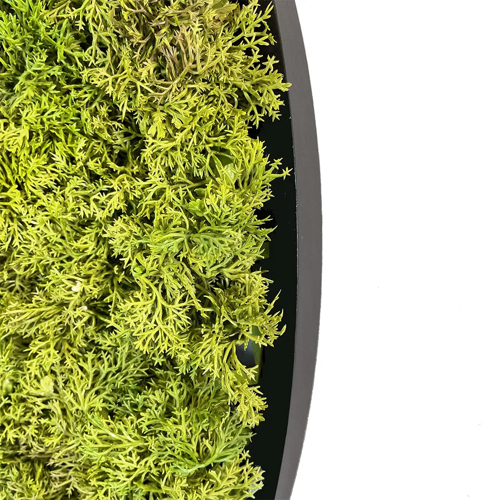 Artificial Reindeer moss wall circular art panel MDF Black - 80cm