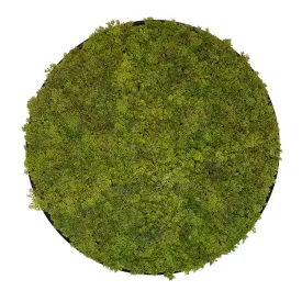 Artificial Reindeer moss wall circular art panel MDF Black - 80cm