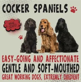 Cocker Spaniel Metal Wall Sign