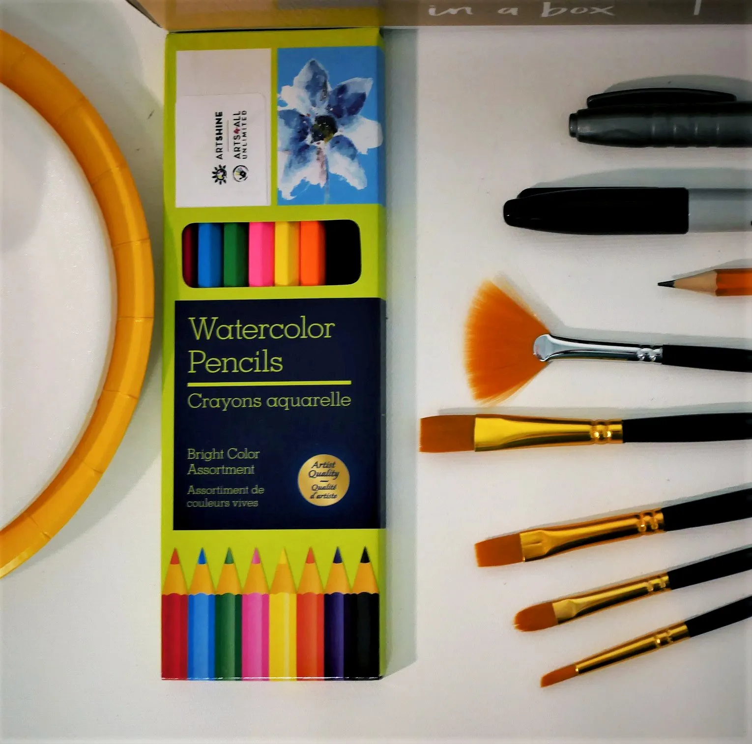 Watercolour Art Kit   Video Tutorials |  Create Fun Projects Using Watercolour Palette, Tubes, and Pencil Crayons (Premium Box)